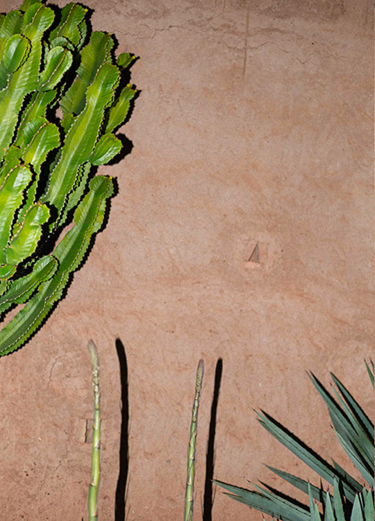 Image thumbnail